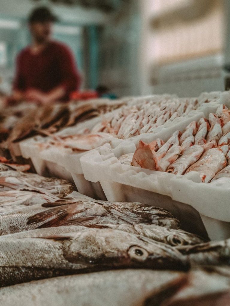 venda de pescado em feiras
