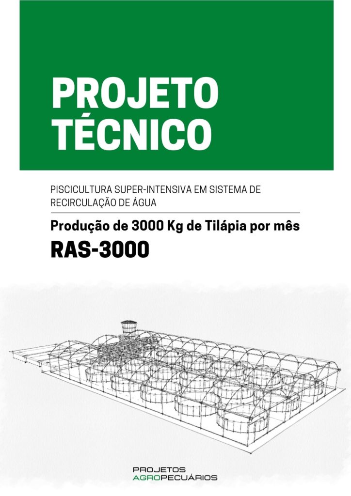 projeto de produção de 3000 kg por mês de tilápia
