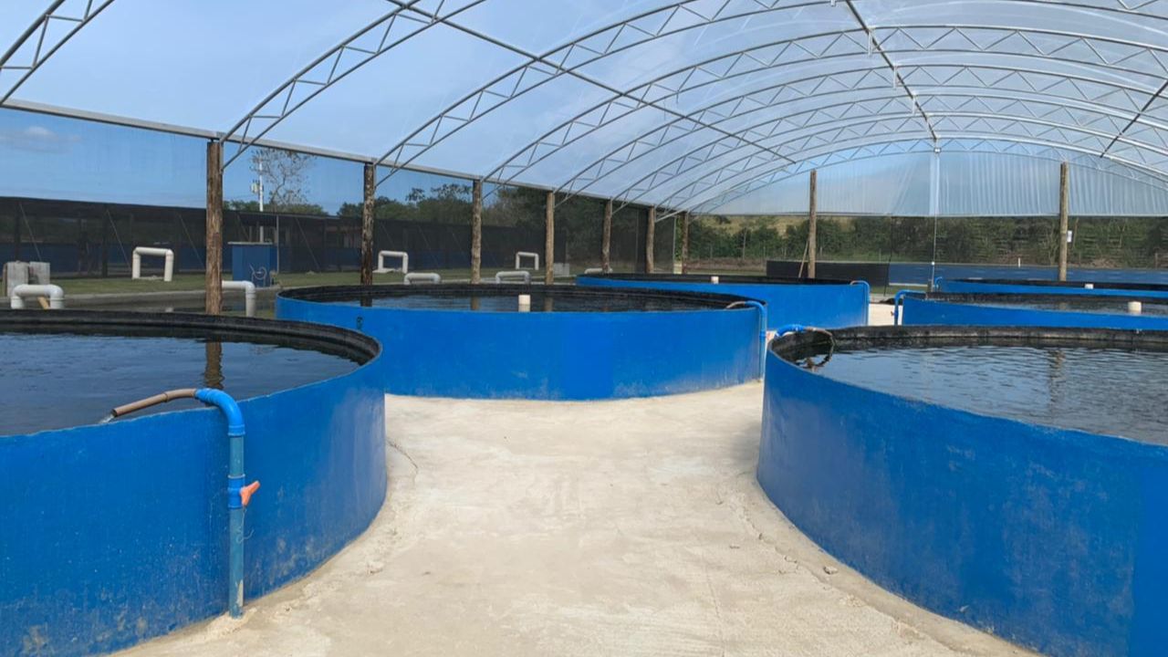 recirculação de água piscicultura