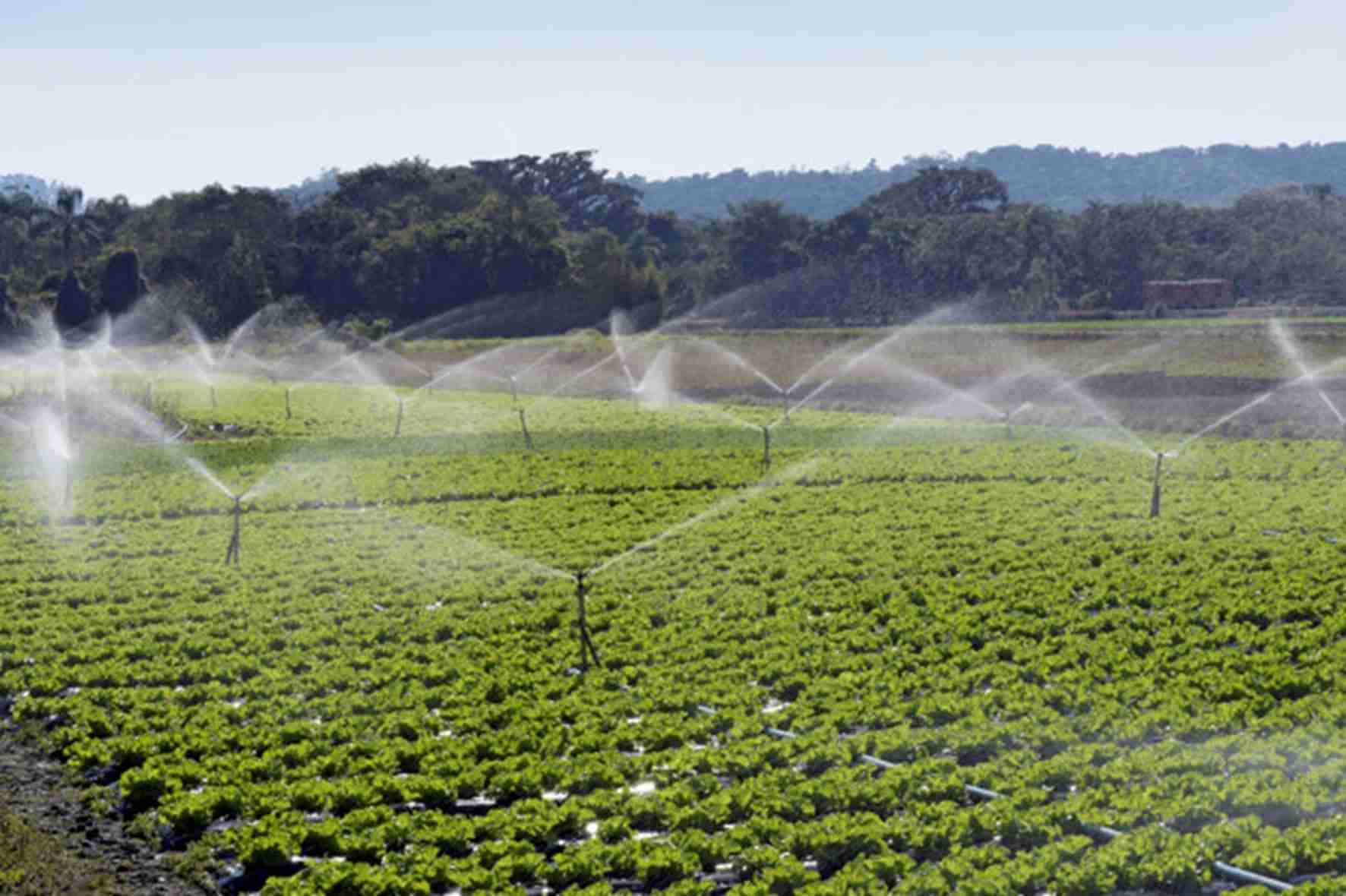 Escolha do sistema de Irrigação