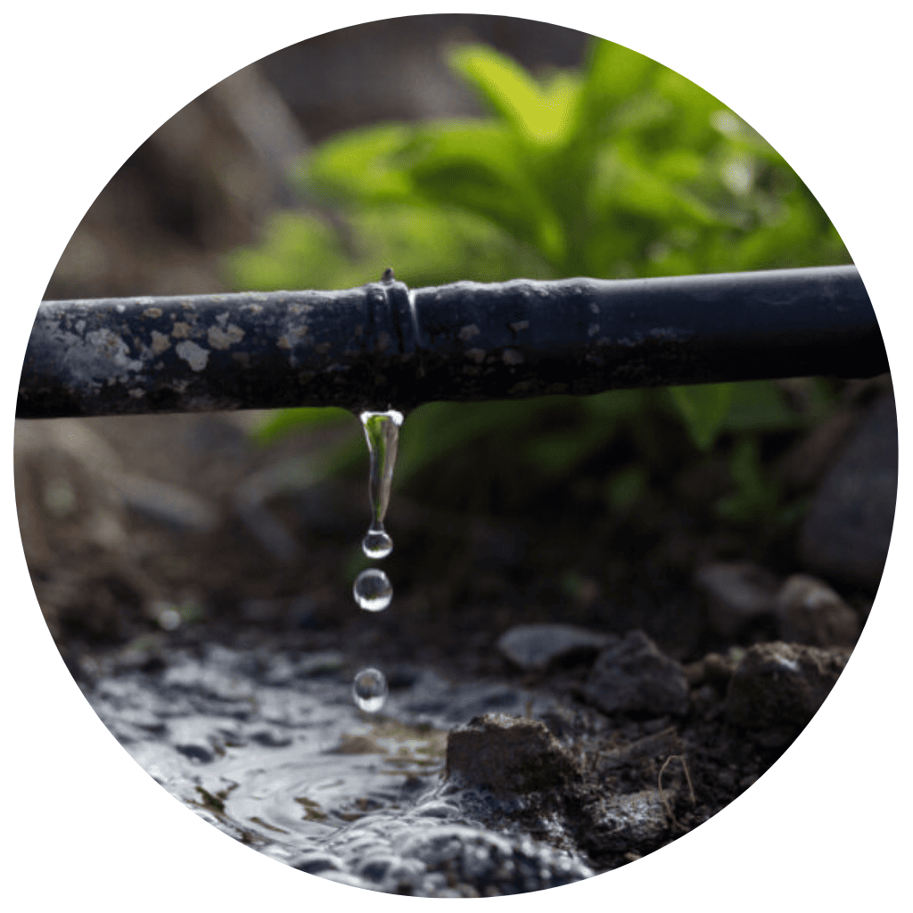 soluções sustentaveis para economia de agua
