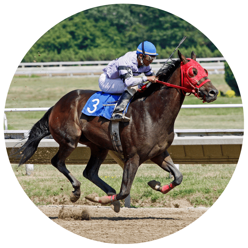 pistas equestres
