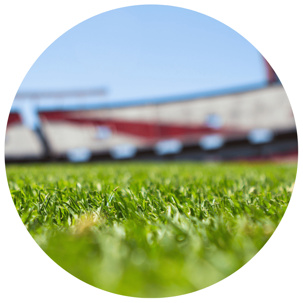 campos esportivos com gramado natural