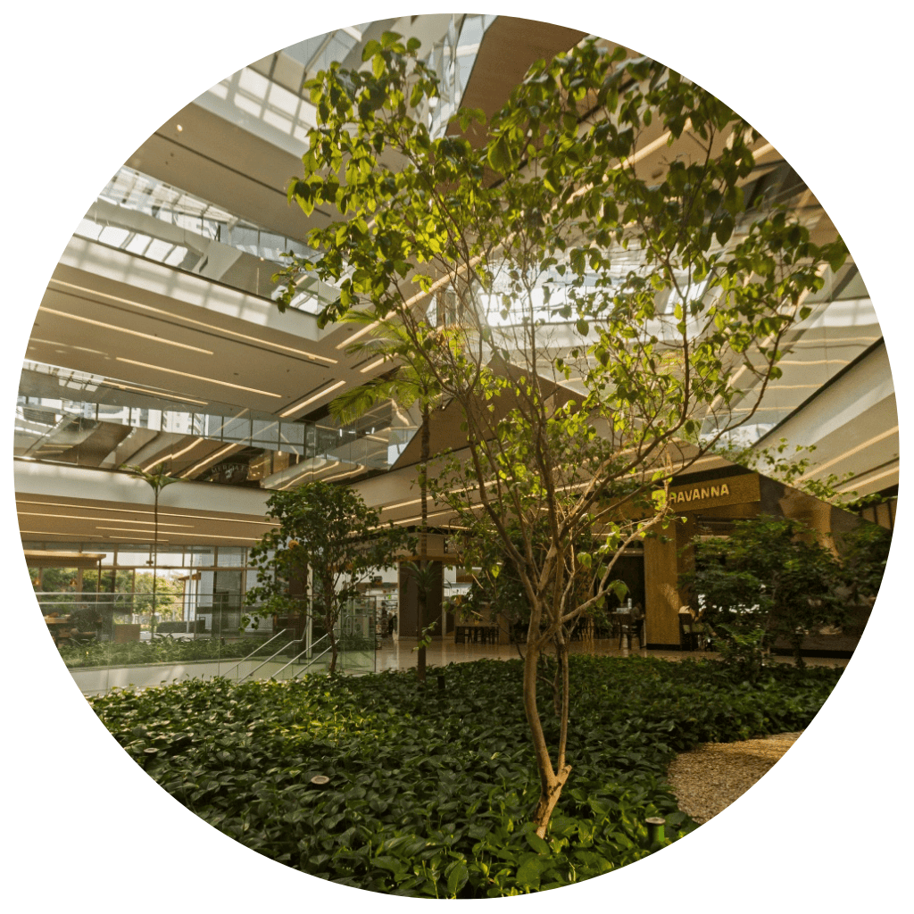 shopping certes e espaços comerciais